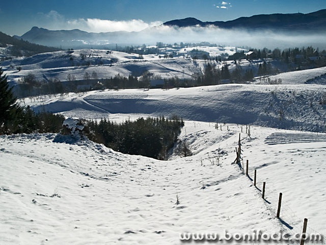 nature___Wold___Vrbovsko, Croatia.