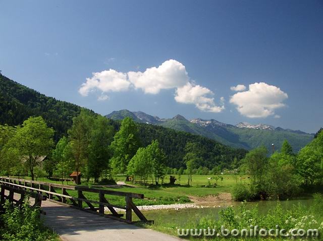 nature___Wooden Bridge___Bohinj, Slovenia.