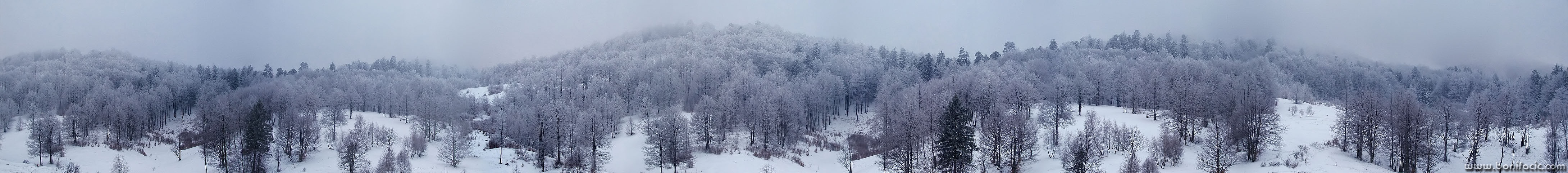 panorama___Winter Wood___Lika, Croatia,