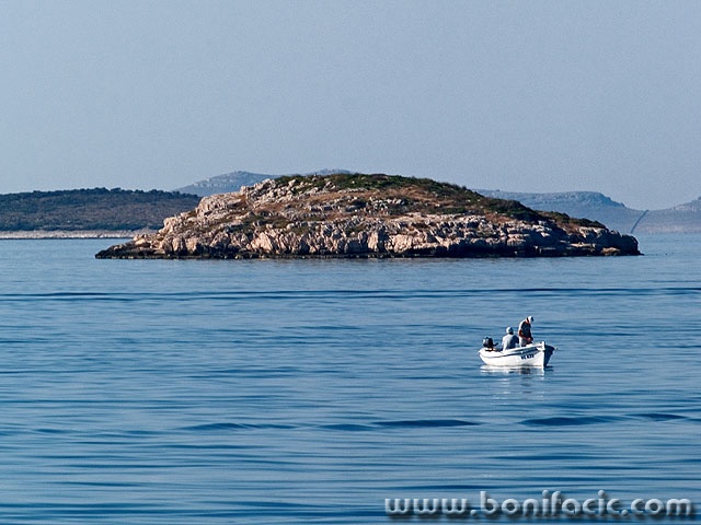 barkaotokmal