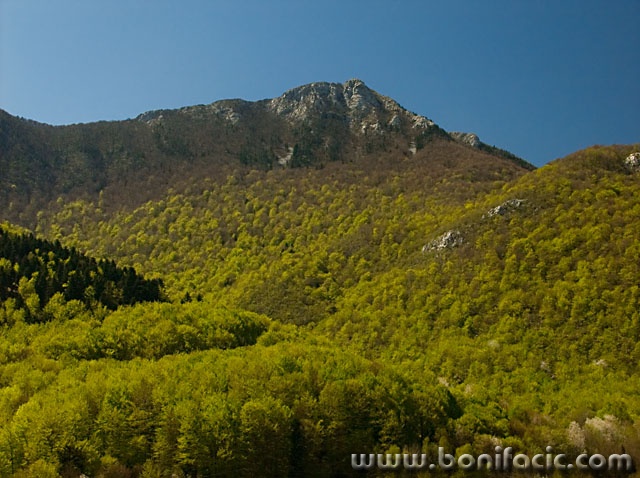 sumavelebit1mergedmal