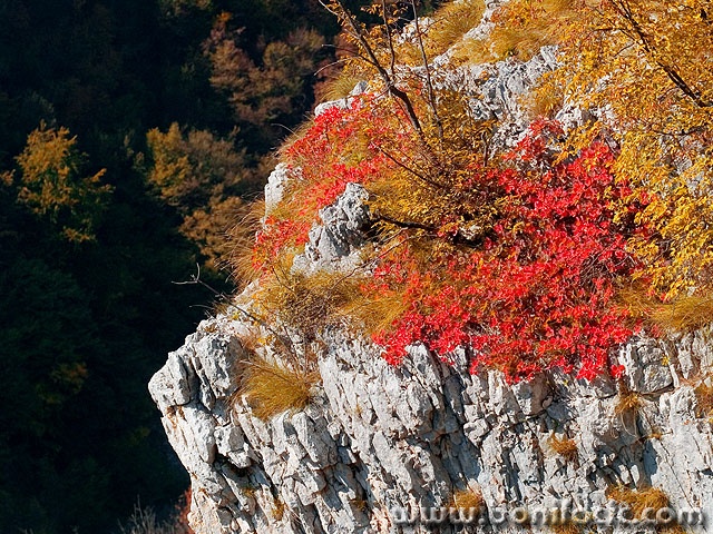 plitvice7mal