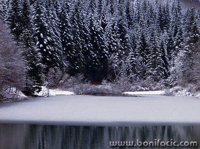 gorskikotar4mal