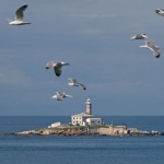 svjetionikgalebimodmal