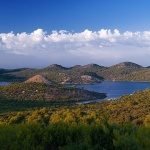 telascica5mal