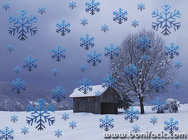 winterbluessnow