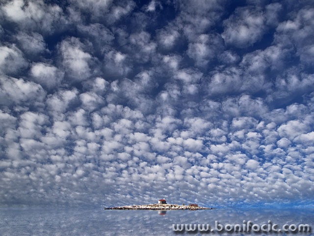nature___San Marino Glory___Novi Vinodolski, Croatia.