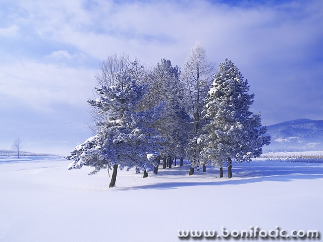 nature___Unfitted___Ogulin, Croatia.