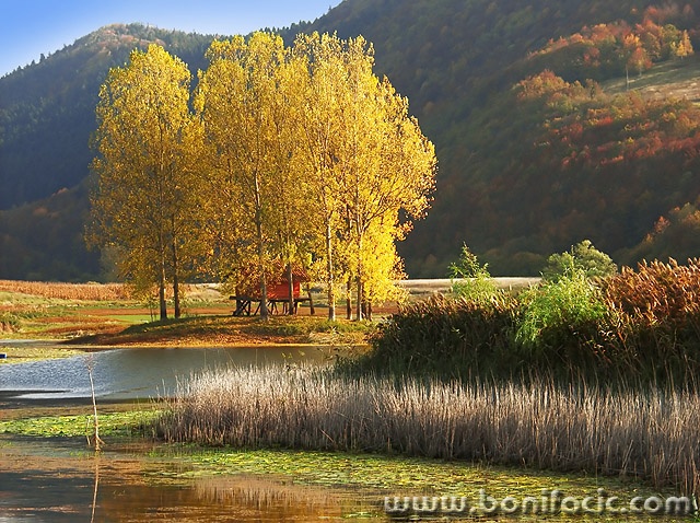 nature___Lough___Svica, Croatia.