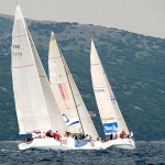 regata8mal