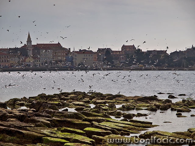 porec (1)