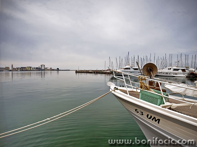 umag (6)