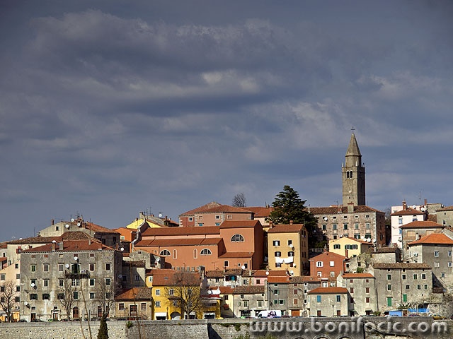 labin1mal
