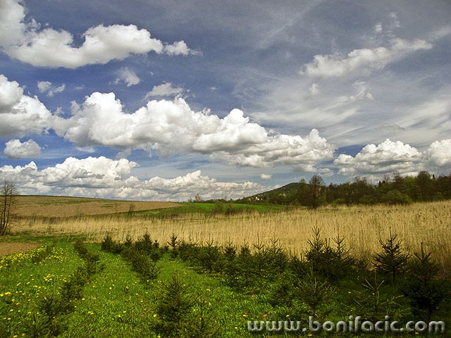 cerovnik7mal