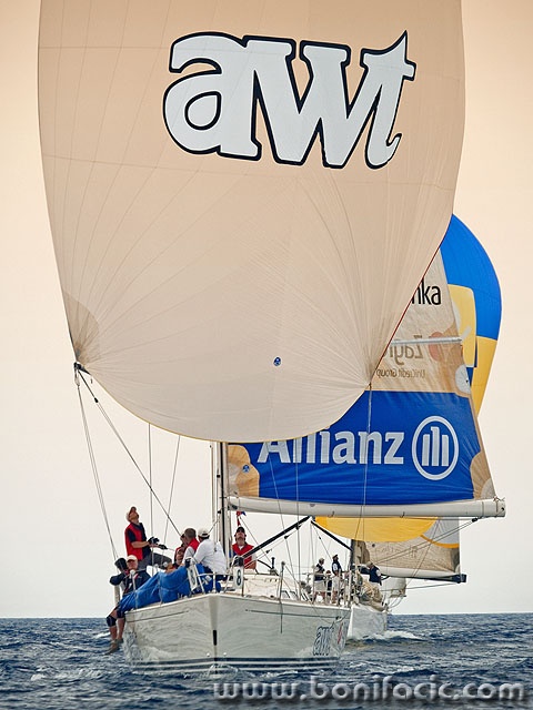 regata42mal