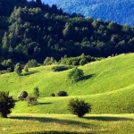 gorskikotar2mal