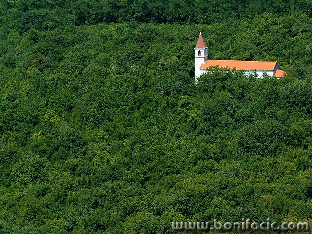 crikvasumakrizisce2mal