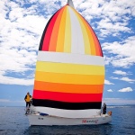 regata86mal
