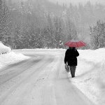 digital___Northern Life___Gorski Kotar, Croatia.