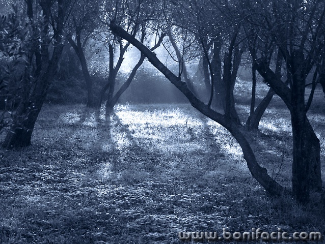 digital___Moonlight Shadow___Punat, Croatia.