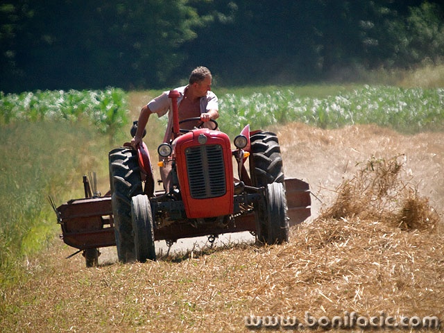 traktor1mal