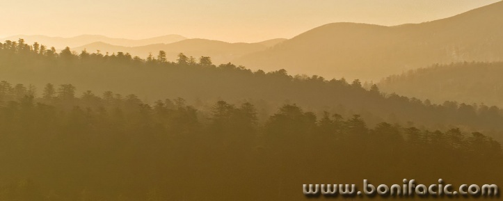 panorama___Golden Morning___Gorski Kotar, Croatia.