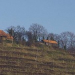 panorama___Grape-Grover___Slovenia.