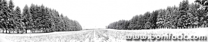 panorama___Greenery___Ogulin, Croatia.