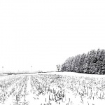 panorama___Greenery___Ogulin, Croatia.