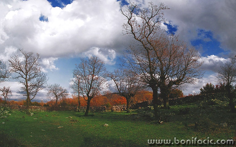 panorama___Favorite Place___Kampelje, Croatia.