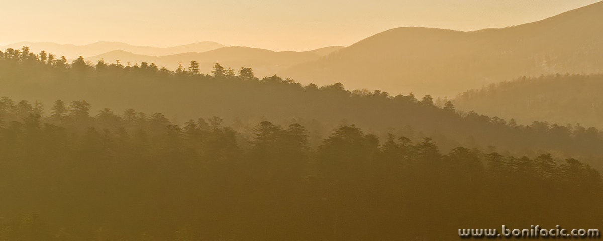 panorama___Golden Morning___Gorski Kotar, Croatia.