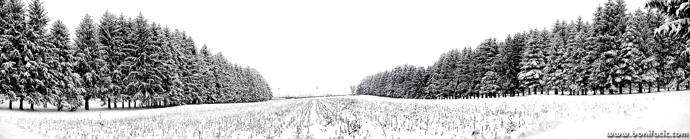 panorama___Greenery___Ogulin, Croatia.
