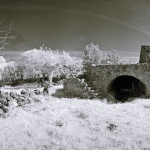 panorama___Old And Abandoned___Muraj, Croatia.