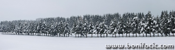 panorama___Rank___Ogulin, Croatia.