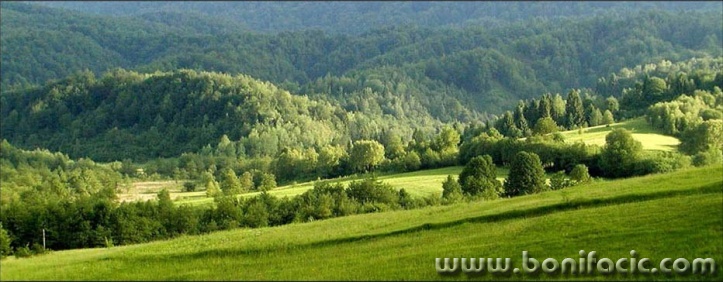panorama___Sunny Hills___Vrbovsko, Croatia.