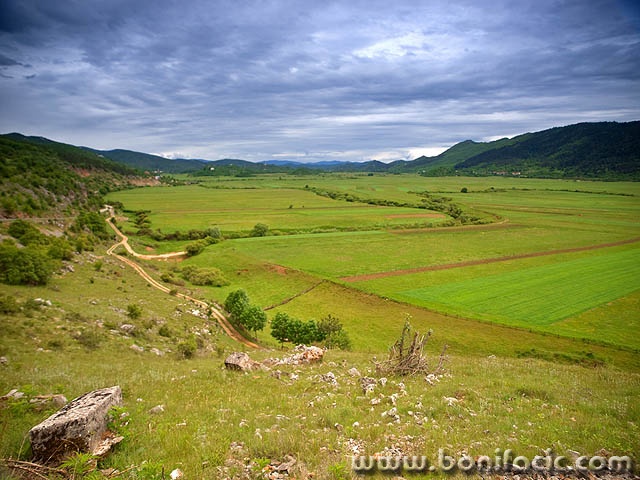 kosinjpolje1mal