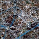 macro___Drops In Net___Baska, Croatia.