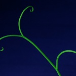 macro___Green On Blue___