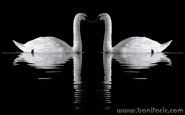 digital___Perfect Couple___Fuzine, Croatia.