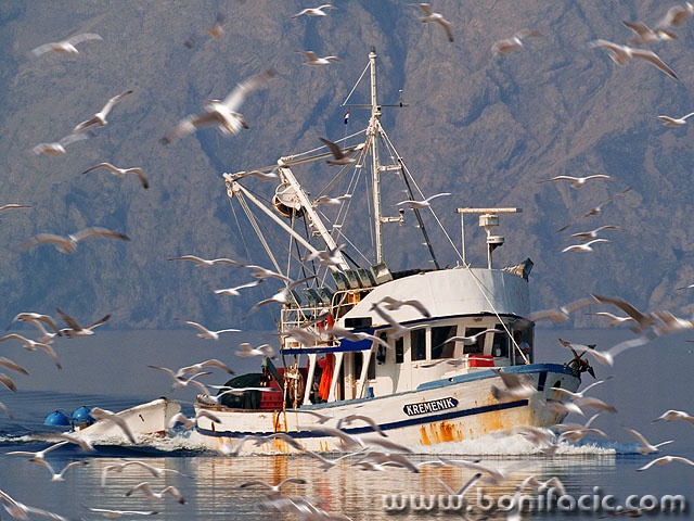 travel___Kremenik___Klenovica, Croatia.