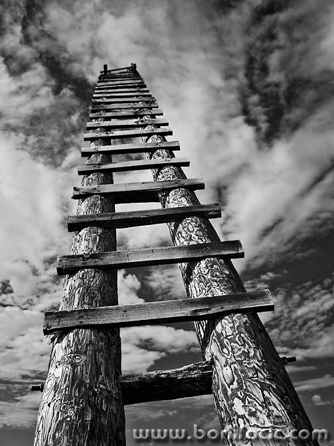 tuneraskalenebosilo1_mal