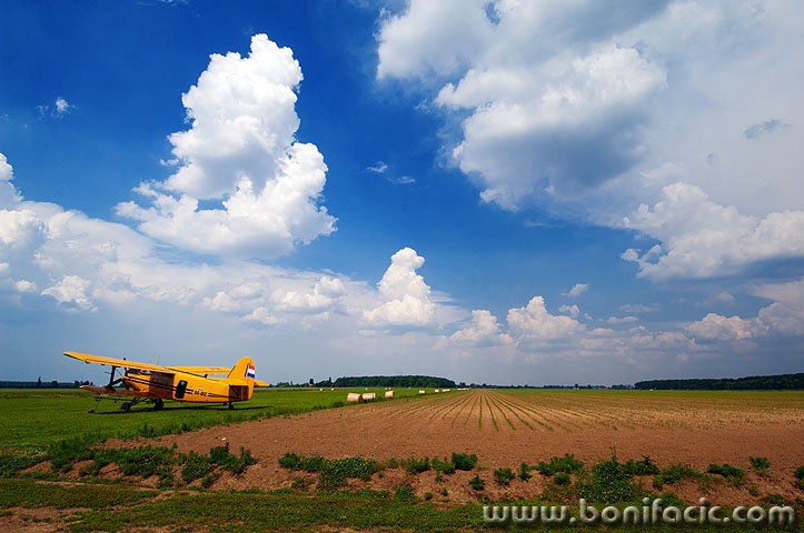 avion1 copymal