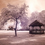 sjenicakunjevciinfrared1 copymal