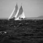 regata26 copymal