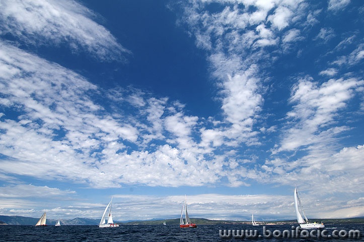 regata2 copymal