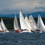 regata33 copymal