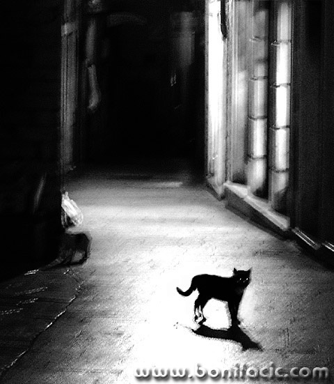 bw___Night Walker___Sibenik, Croatia.