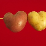 macro___Relationship___