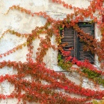 ponestrajesenbrsljan1 copymal