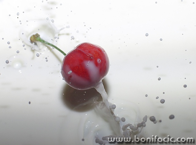 macro___Ranunculus___